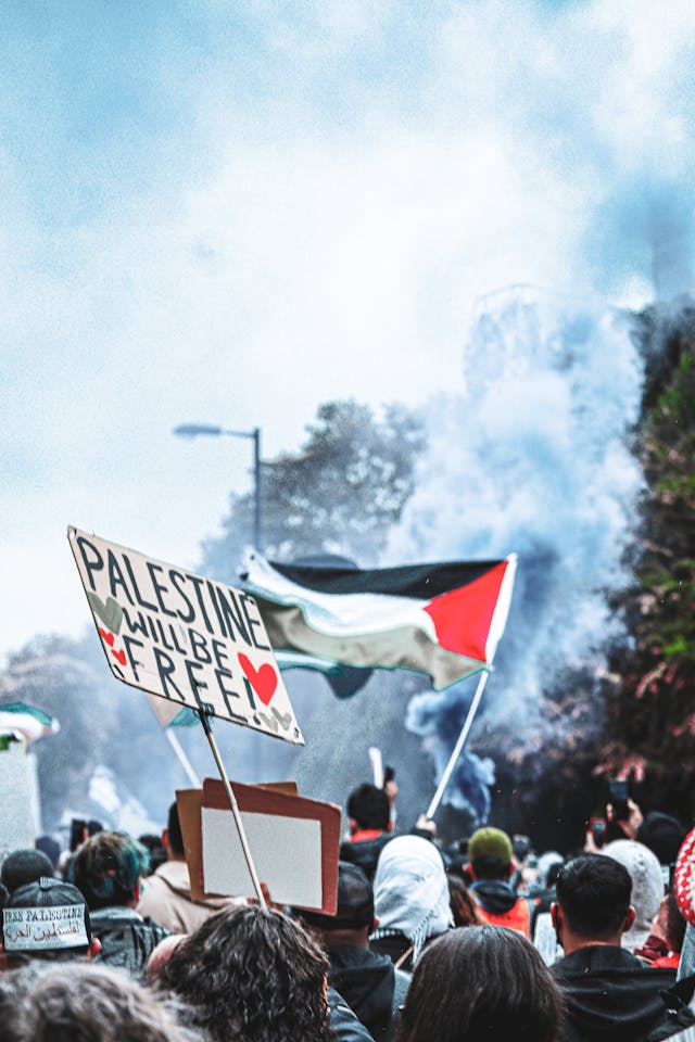 Demonstration with Palestinian flag and "Palestine will be free" sign